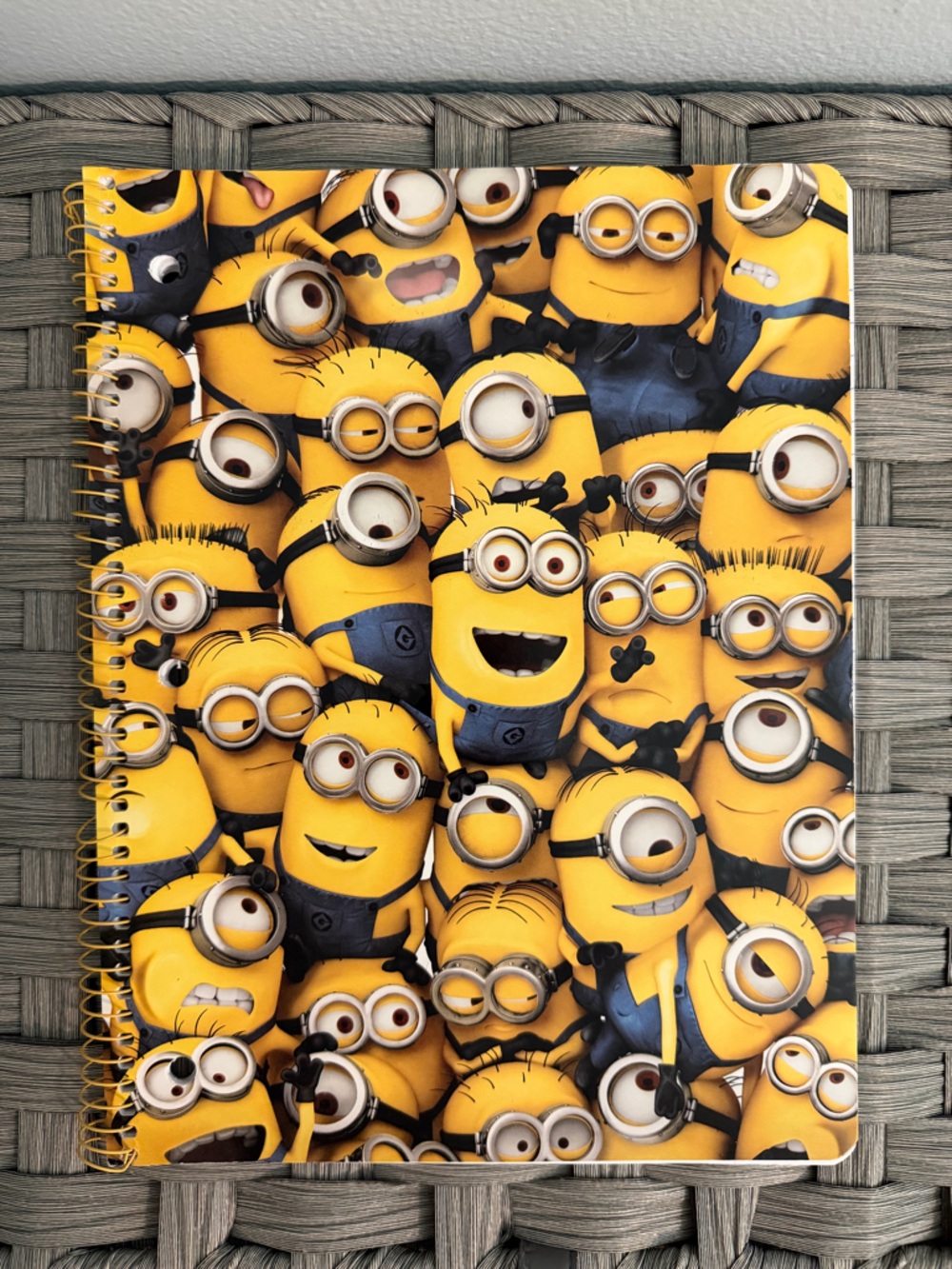 NEVER USED Minions Notebook